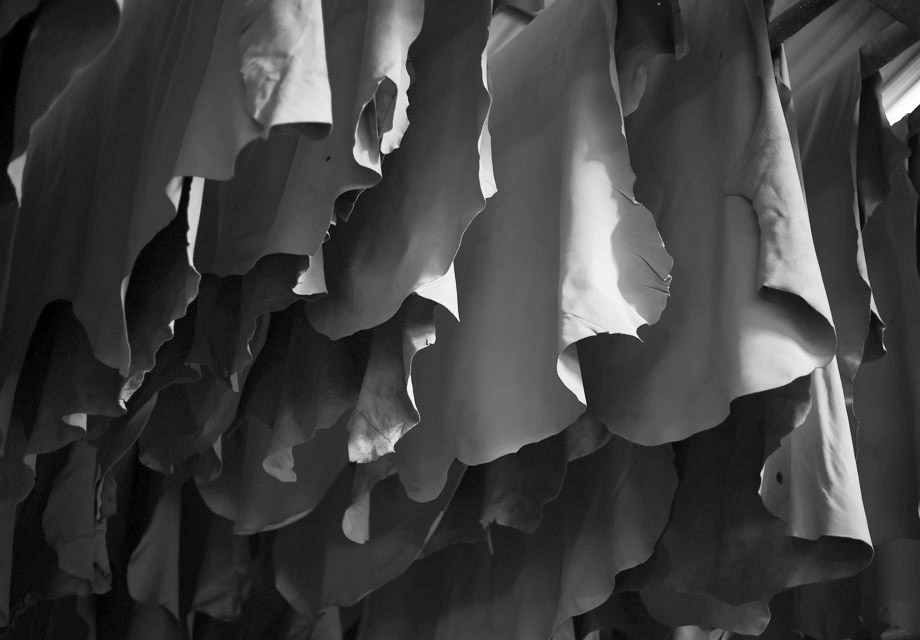 Leather Processing
